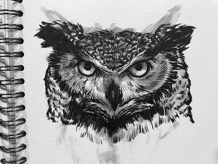 Ink sketching of Barn Owl